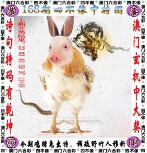 amsbx.jpg
