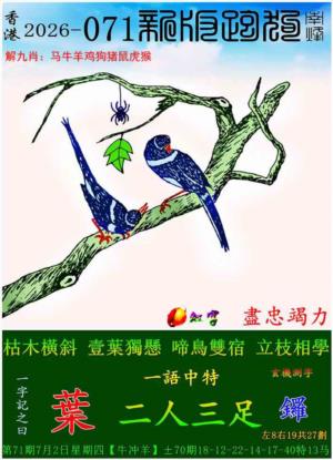 p9.jpg