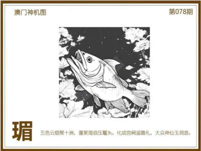 xi1.jpg
