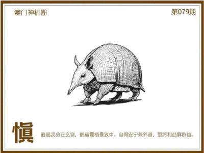 xi1.jpg